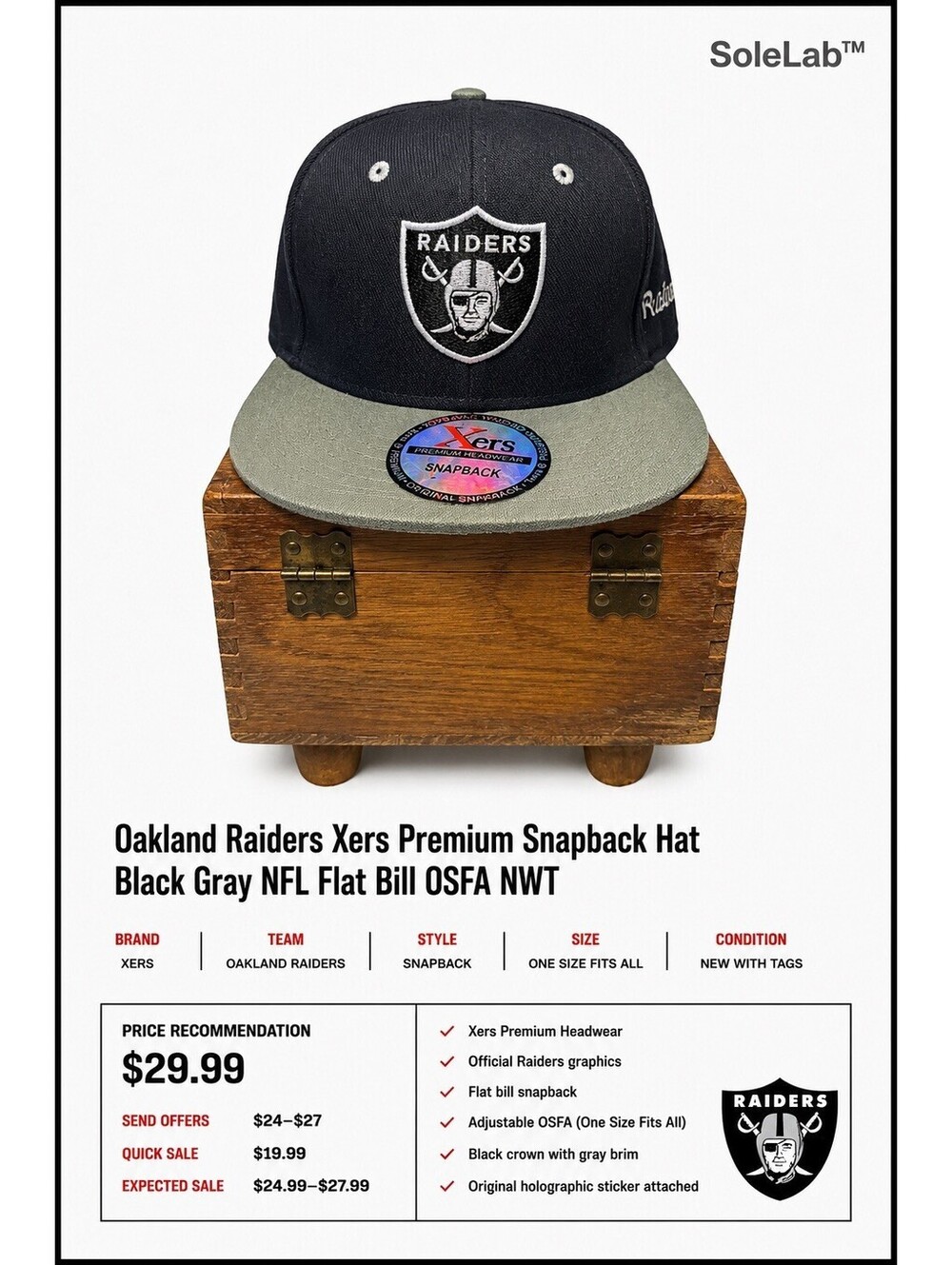Oakland Raiders Xers Premium Snapback Hat Black Gray NFL Flat Bill